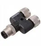 304591