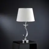 50808020