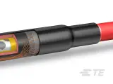 CP3812-005