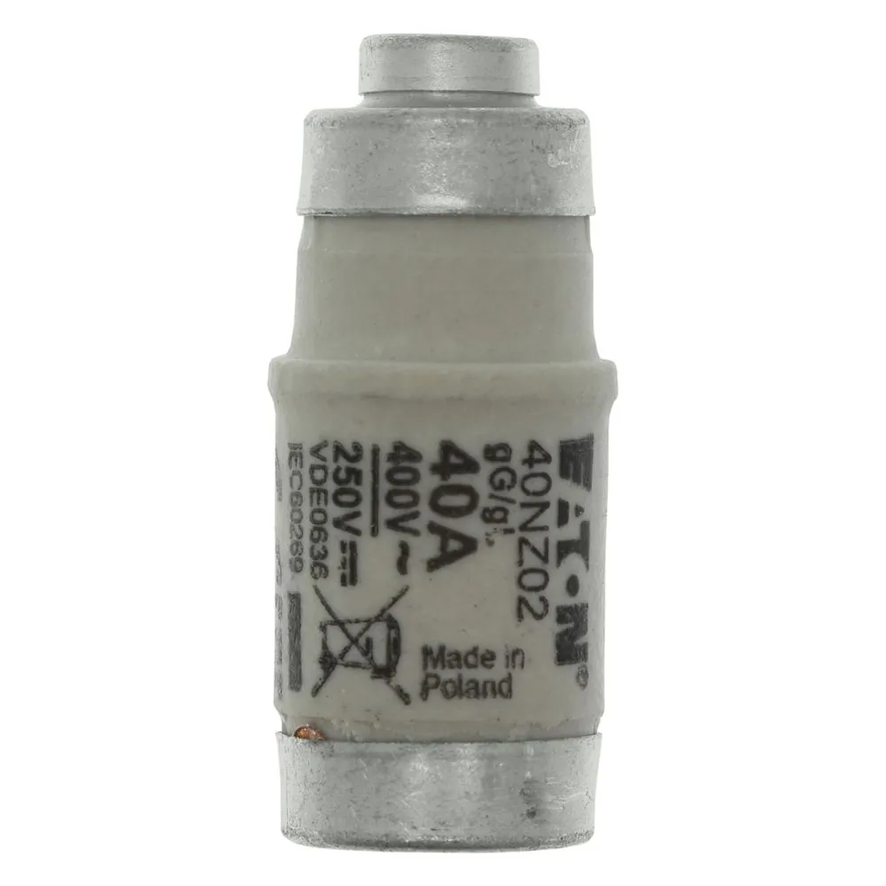 Eaton Electric SICHERUNG-D02 40A T GL/GG 400VAC E18 Pic_1