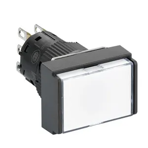 Schneider Electric XB6EDW1B1P Pic_1