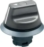 NWS21GR