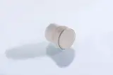 74304