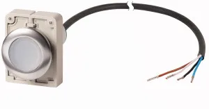 Eaton Electric C30C-FDRL-W-K10-24-P65 Pic_1
