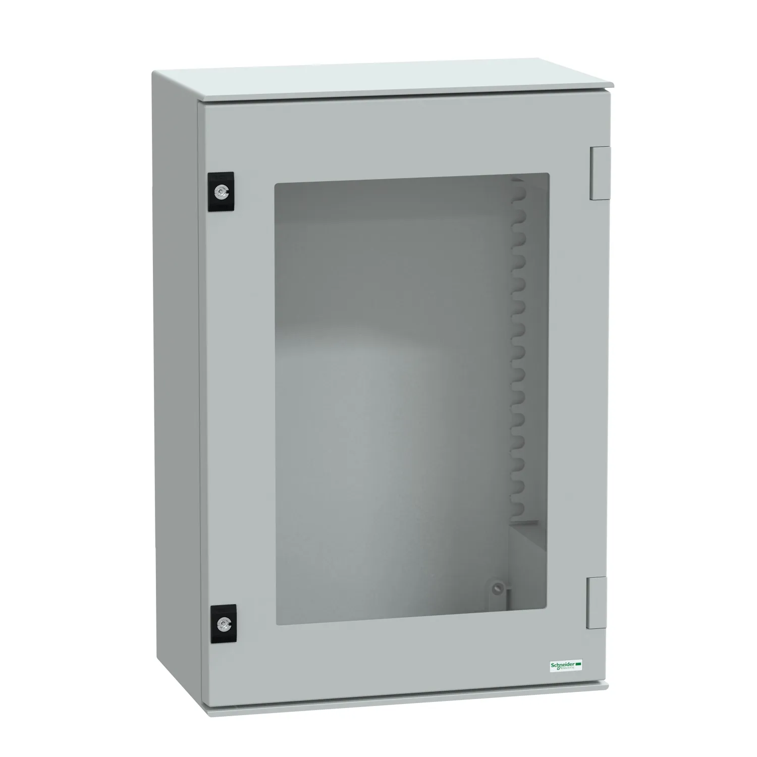 Schneider Electric NSYPLM64TG Pic_1