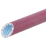25610020