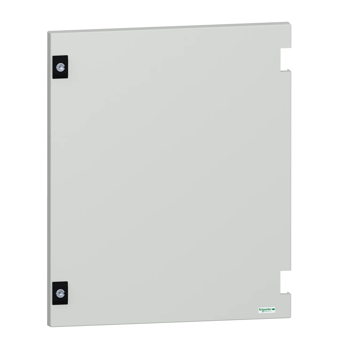 Schneider Electric NSYDPLM54G Pic_1