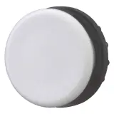 216388