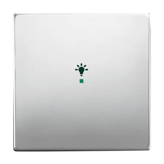 BUSCH-JAEGER ELEKTRO GMBH 6231-10-866 Pic_1