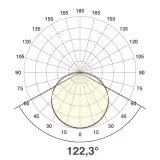 SB54241402802