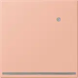 LC1539-OLNW231