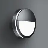 10137173