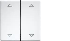 Eltako DW-FT55-rw+2P Pic_1