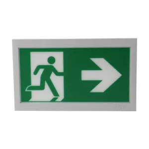 Cooper Safety GuideLed 20m PR/BL ISO 7010 Pic_1