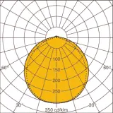 5962804484