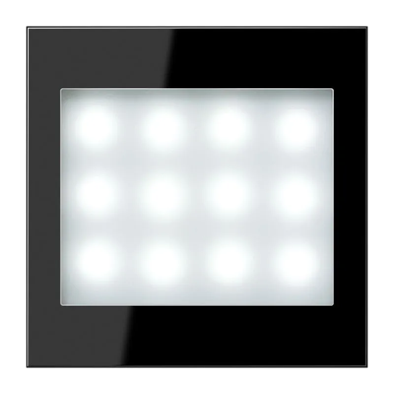 Jung LS 539 SW LED LW-12 Pic_1