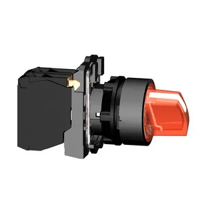 Schneider Electric XB5AK124B5 Pic_2