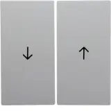 16251909