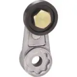 ZCKY31