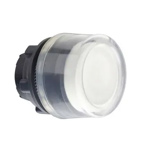 Schneider Electric ZB5AP1 Pic_1