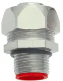 55503242