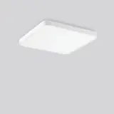 312658.002.1.730