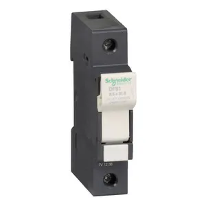 Schneider Electric DF81 Pic_2