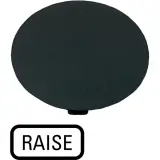 218293