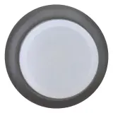 216966
