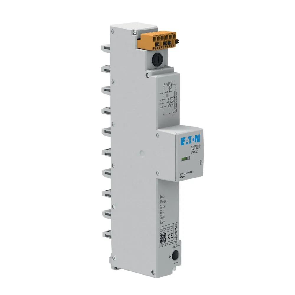 Eaton Electric SPZT123-300/3-S Pic_2