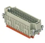 CDSHM 42