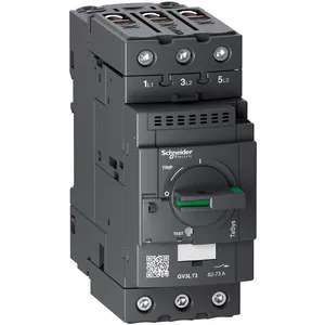 Schneider Electric GV3L80 Pic_2