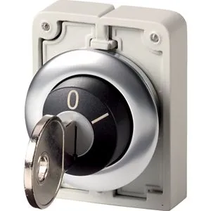Eaton Electric M30I-FWRS Pic_3