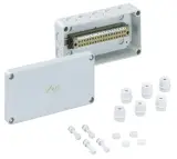 63041801
