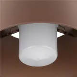 1007582