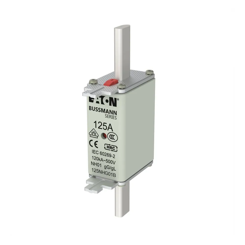 Eaton Electric NH FUSE 160A 500V GL/GG SIZE 01 DUAL IN Pic_1