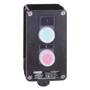 Schneider Electric XAWG210EX Pic_2