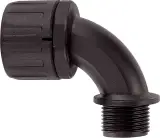 55506520