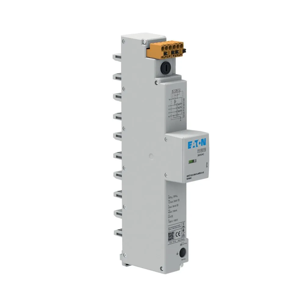 Eaton Electric SPZT123-300/3+NPE-H-S Pic_2
