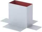 45555