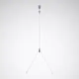 7755500