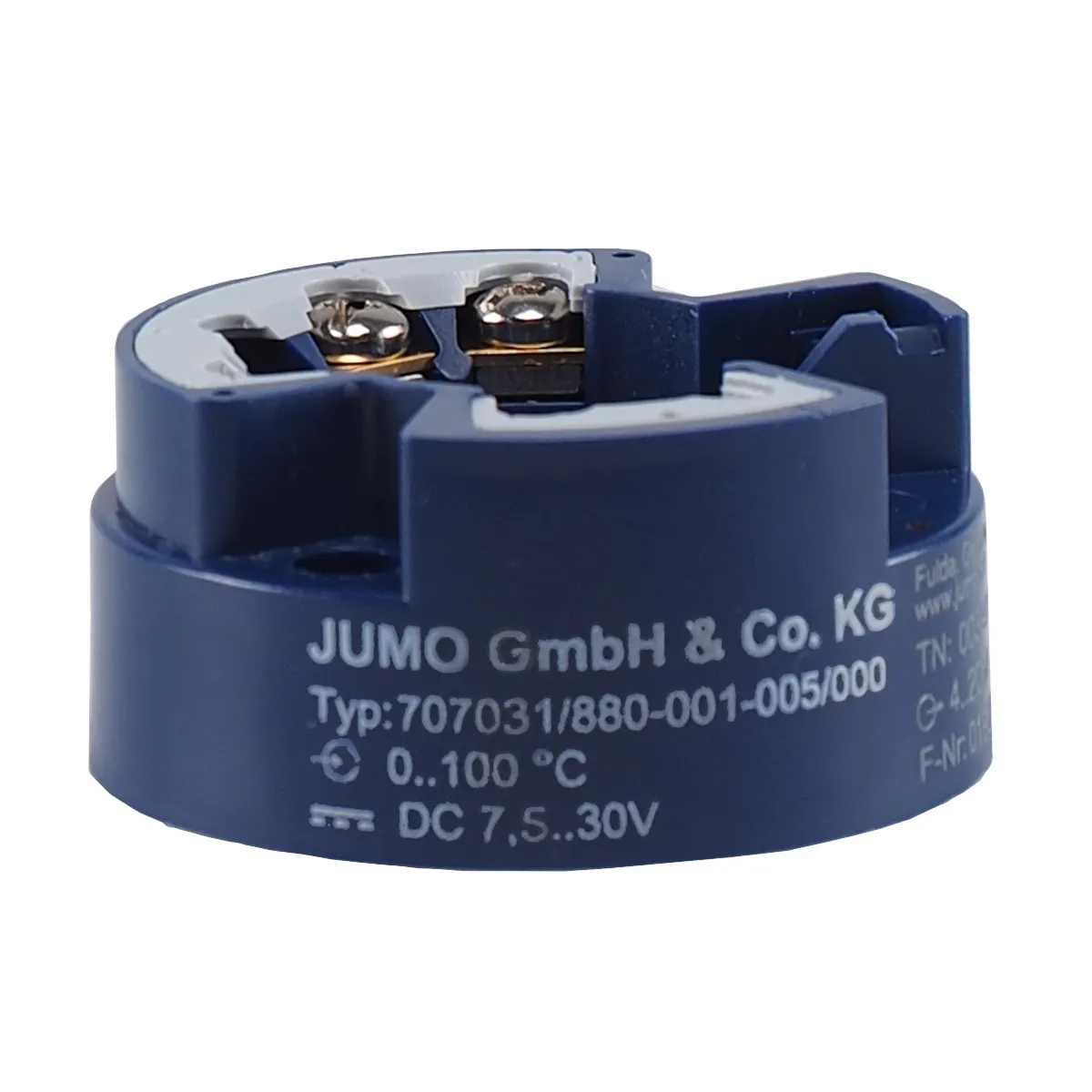 Jumo 707031/881-001-005/000,000 0..100°C Pic_4