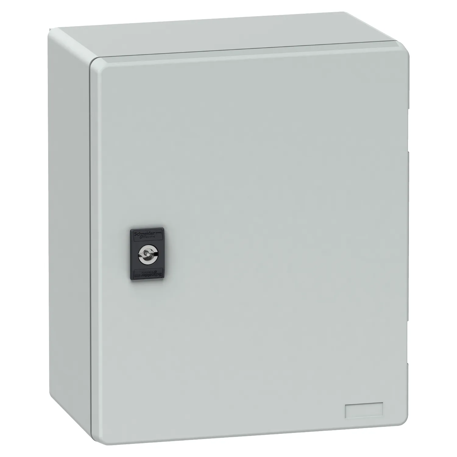 Schneider Electric NSYPLM3025BG Pic_1