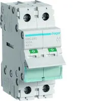 Hager SBN290 Pic_1