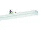 VLGFP1501-5NDWS850W0850-RF
