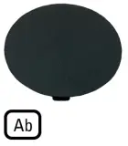 218274