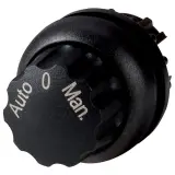 226839
