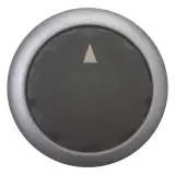 279419