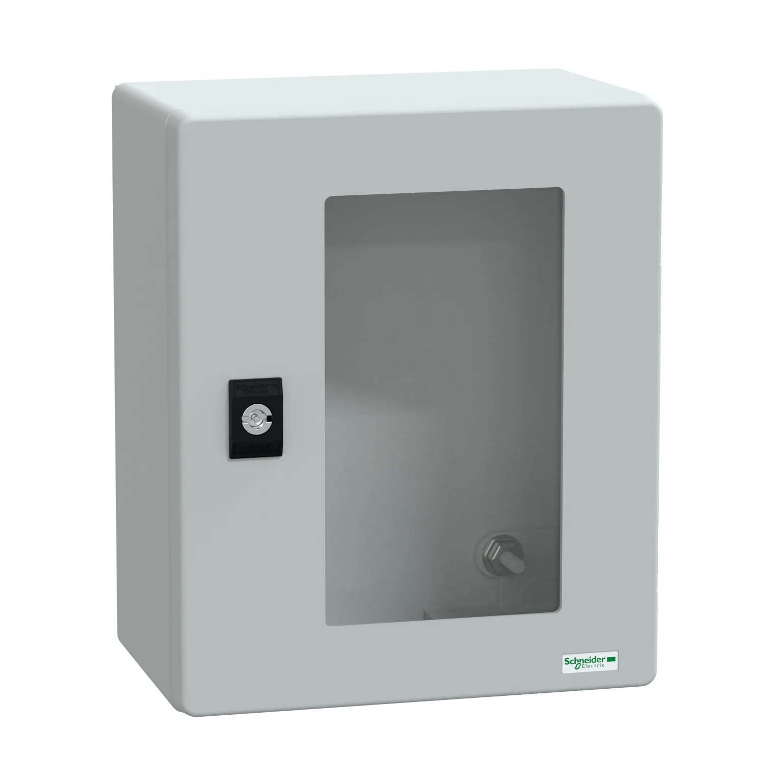 Schneider Electric NSYPLM3025TG Pic_1