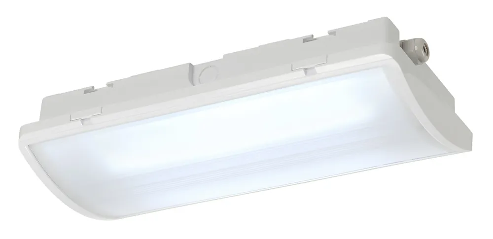 SLV ELEKTRONIK GMBH P-LIGHT CW IP65 6000K weiß Pic_3